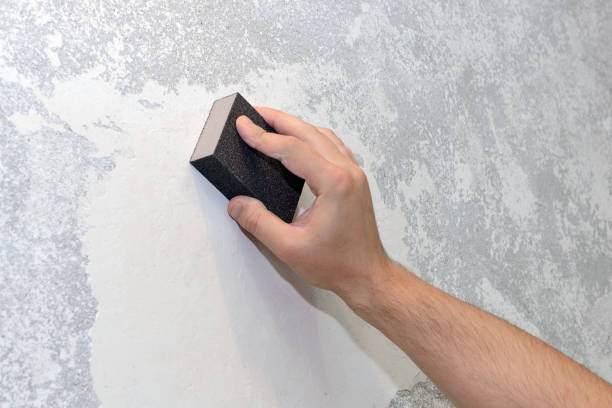 Mold Remediation for Vacation Homes in Fairmount, CO