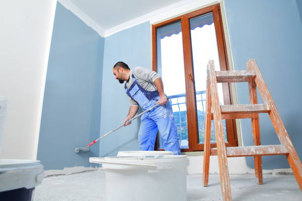 Best Emergency Mold Remediation  in Fairmount, CO