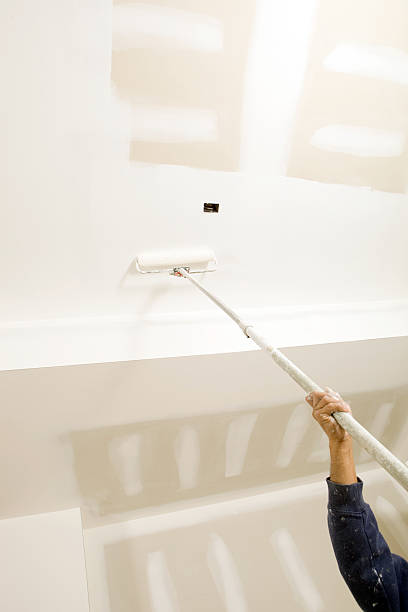 Best Mold Damage Restoration  in Fairmount, CO